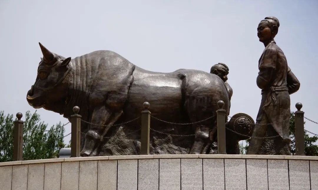 宁夏适合3-4月份旅游,宁夏的秋天