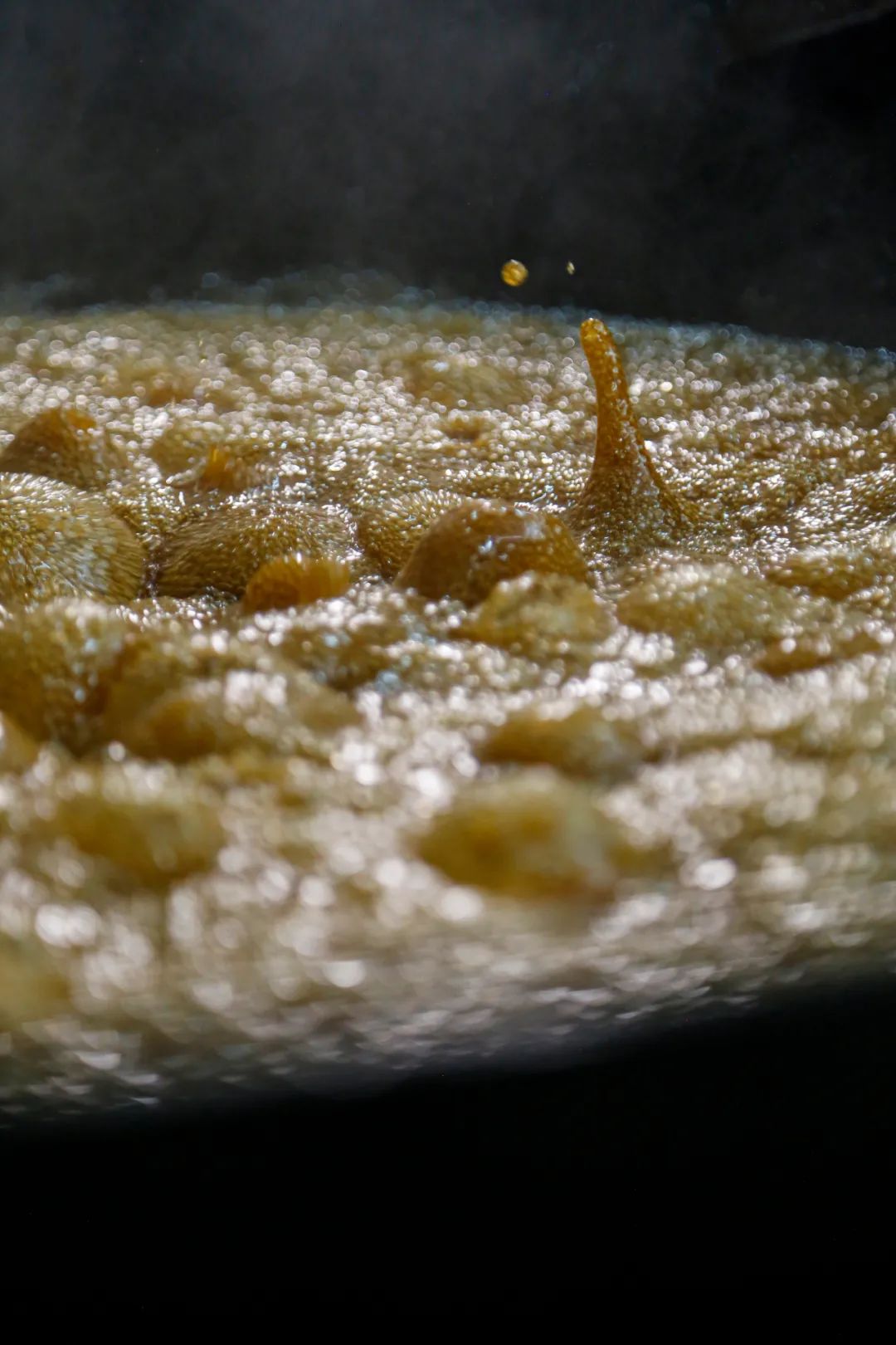 东方巧克力,东方巧克力滋补养生