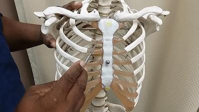 运动时穿上束腰带能帮助瘦腰吗,用束腰带能减肚子吗