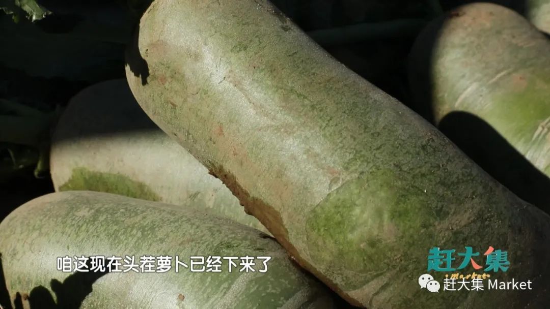 天津都市频道赶大集宁河,天津都市频道赶大集卷凉皮