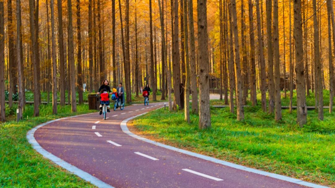 盐城发色,盐城代表颜色