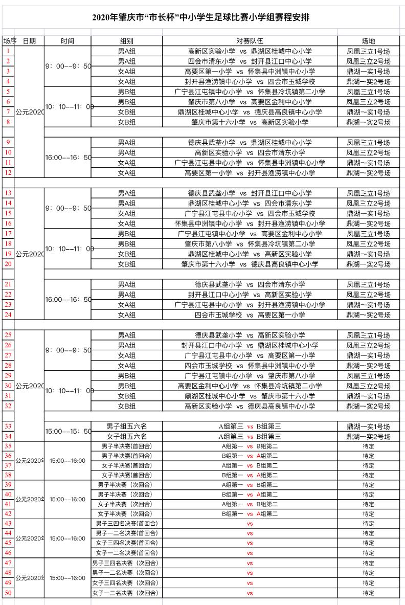 濮阳市市长杯青少年校园足球联赛,市长杯小学生足球比赛女子组