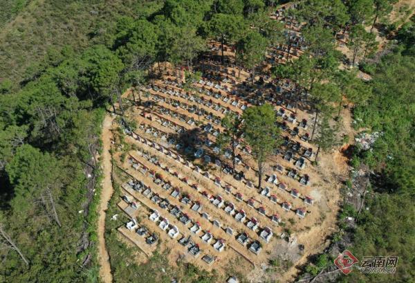 三沿六区坟墓整治禁葬通告,临沧市三沿六区坟墓整治公告