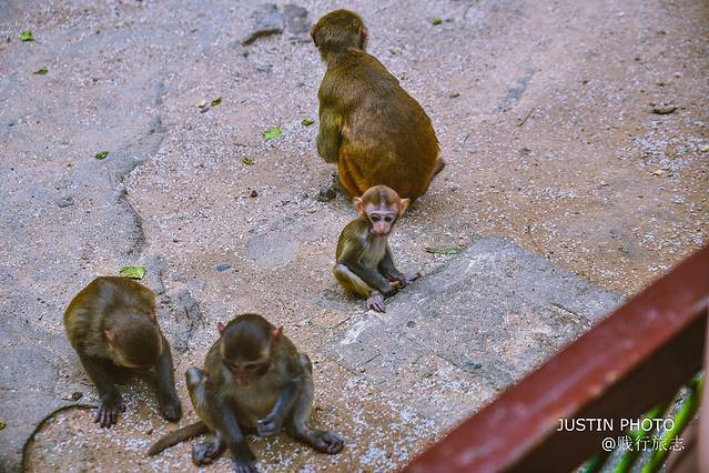 海南环岛旅行需要多少天,去海南过冬天去哪里最好