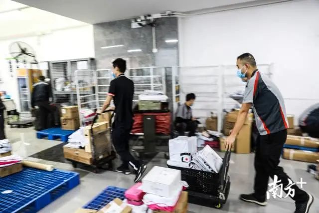 双十一堆成山的快递如何派件？东莞快递人这样做！