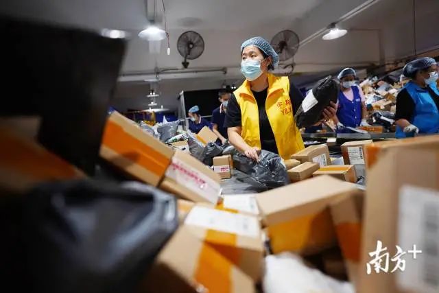 双十一堆成山的快递如何派件？东莞快递人这样做！