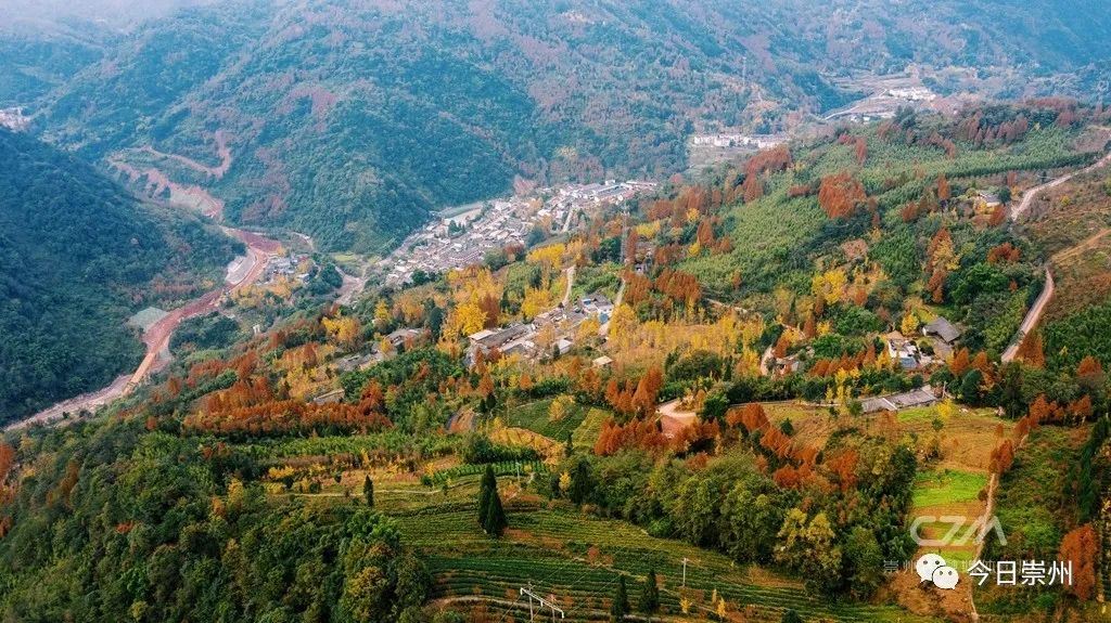 初秋彩林成都周边秘境,成都附近彩林秘境