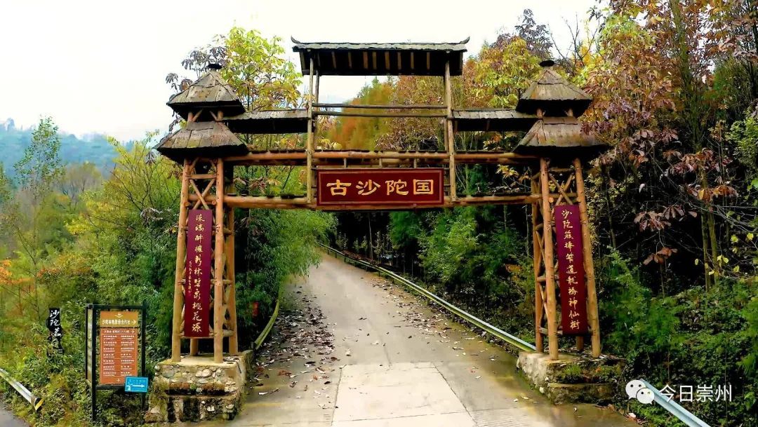 初秋彩林成都周边秘境,成都附近彩林秘境