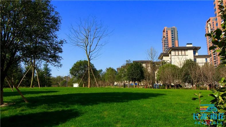 一起感受公园带来的惬意时光吧,漫步湿地公园享受周末好时光