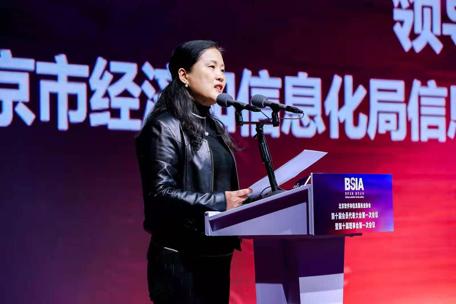 北京软件大会,北京软件企业协会