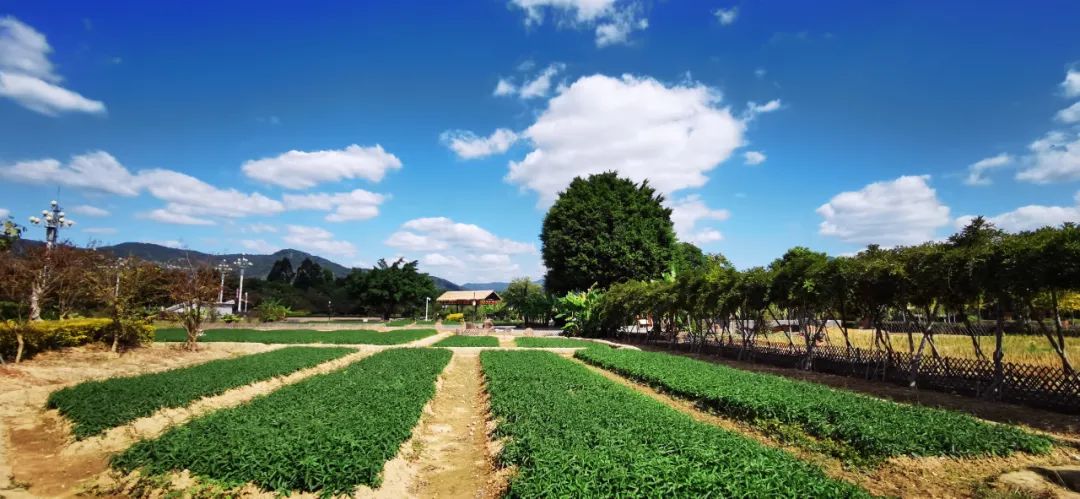 来福州逛一圈回家,来福州一定要走一走闽侯龙台山