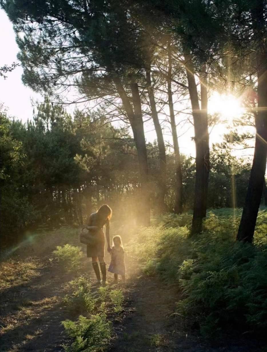 养十几只狗狗博主,网红养小土狗日常