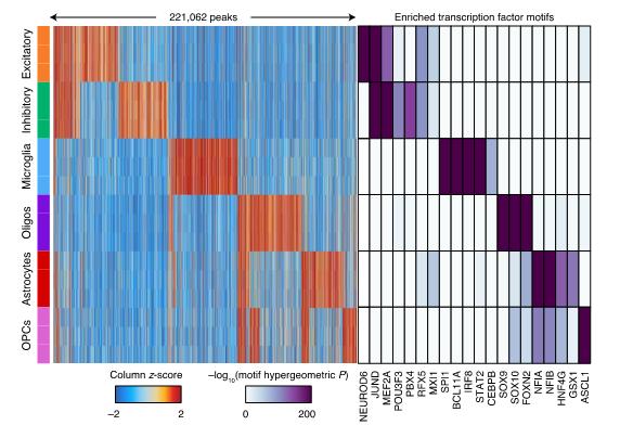 「长文解读」NatGenet︱阿尔茨海默症和帕金森病的单核苷酸多态性研究,揭示两种疾病的遗传风险位点的变异