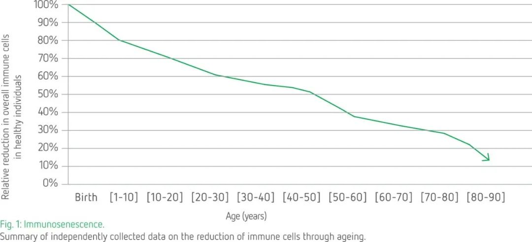 免疫细胞疗法与干细胞疗法,最简单通俗科普干细胞知识
