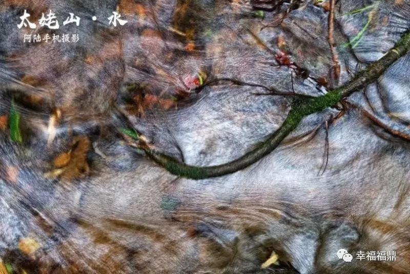 看完这篇文章你会惊叹古人的智慧,看完这篇文章你还敢喝低度酒吗