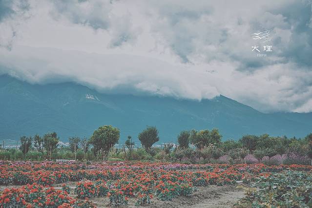 长沙自驾去大理多少钱,生活需要惊喜自驾直奔大理