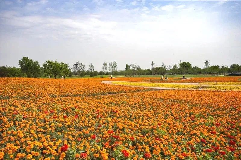 杜邑公园雪景,杜邑遗址公园6月风景