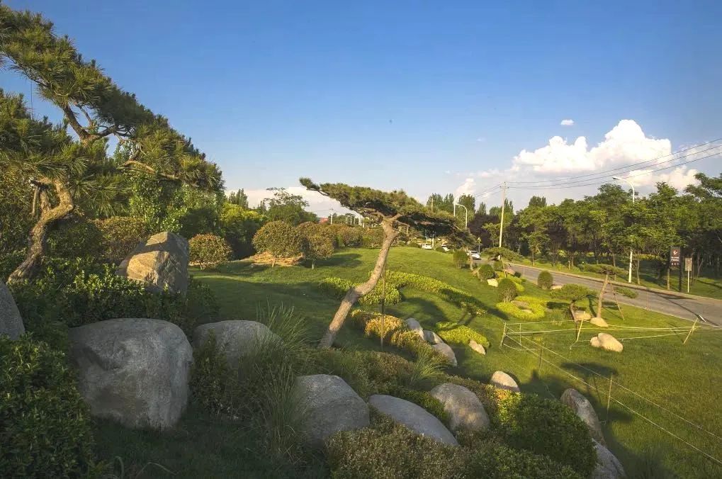 杜邑遗址风景区,杜邑花海风景区