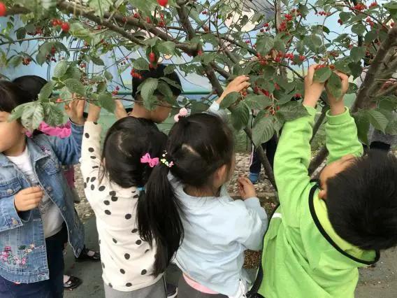 李沧区夏庄路幼儿园照片,李沧区夏庄路机关幼儿园