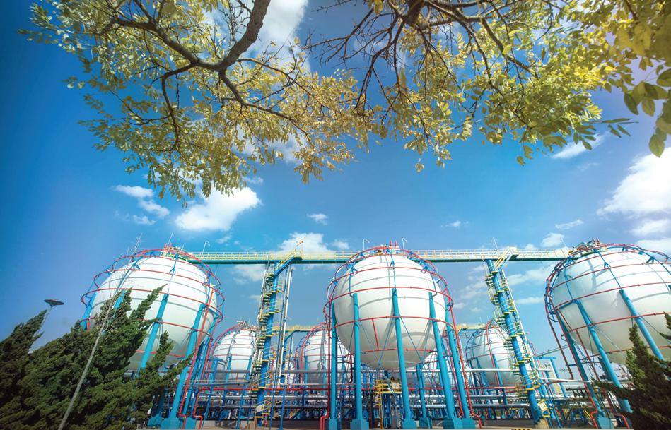 视察恒力大连石化,大连石化公司新媒体