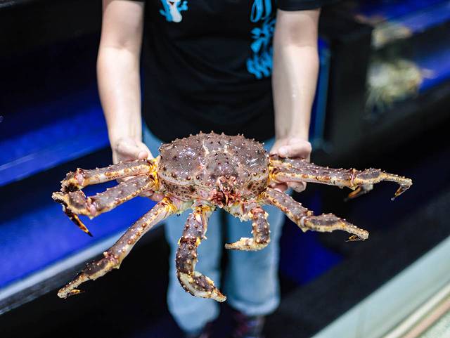 三亚海棠湾希尔顿攻略,三亚湾亚龙湾旅游攻略