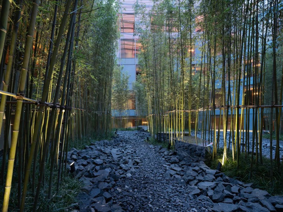 行千里江山，览京室画卷|大兴机场木棉花酒店