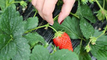 冬天感受阳光的味道,冬天到凉山