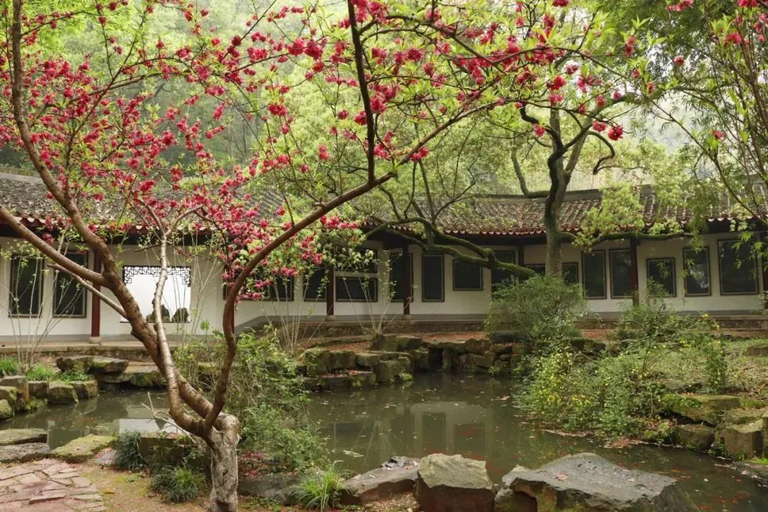 今天22:30档，CCTV-1《开讲啦》带你打卡岳麓书院，探访千年学府的前世今生