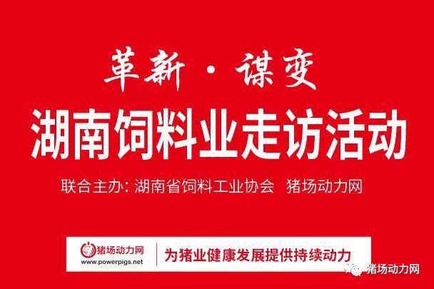 革新·谋变|饲料行业十字路口，看比利美英伟的三大进阶之路