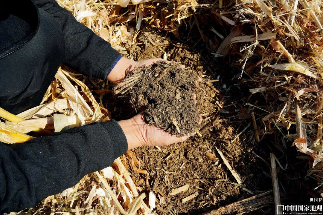 30道测试题,十道题测试你是否真的了解