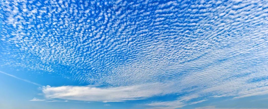 30道测试题,十道题测试你是否真的了解