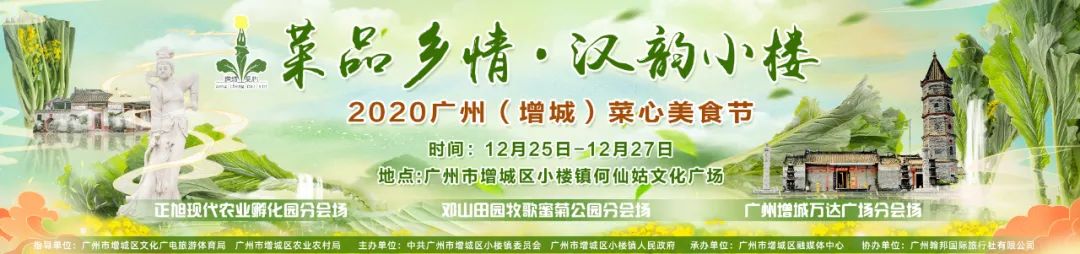 北仑教育局招聘100名事业编教师,深圳龙岗招聘500名事业编教师