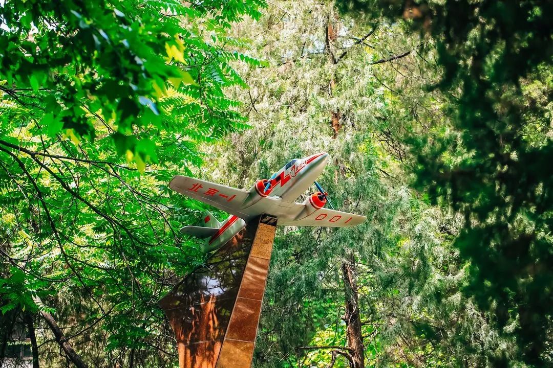 北航，2021年这三项招生简章发布！重要