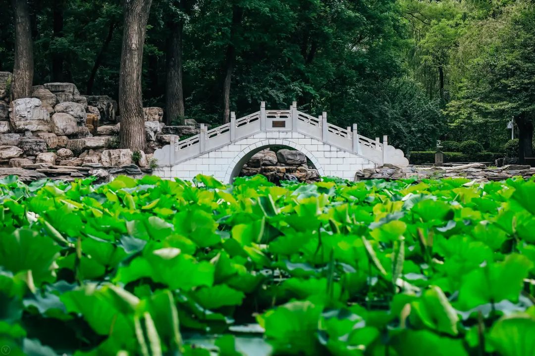 北航，2021年这三项招生简章发布！重要