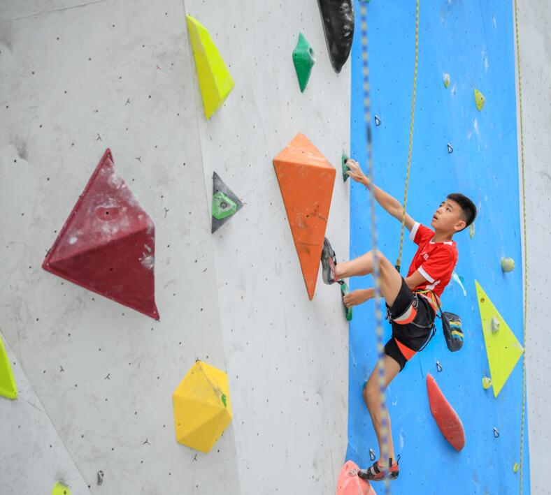 体教融合模式,体教融合加快发展