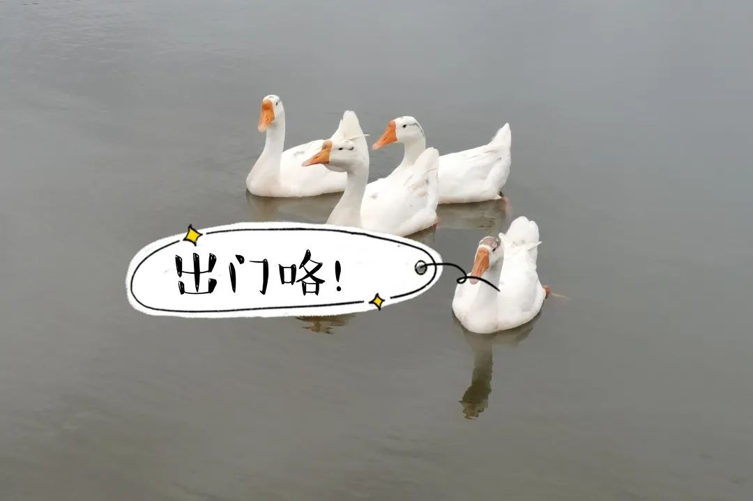 江西科技师范大学理工学院贴吧,再见了江西科技师范大学