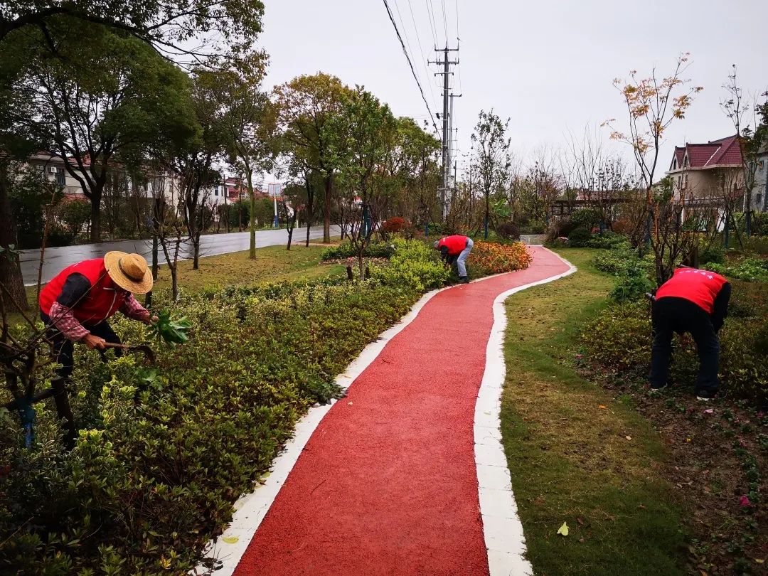崇明这个60平方米的地方，“藏”着村民的“幸福密码”