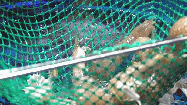 城北新开的一家新超市在什么地方,城北新商场开业