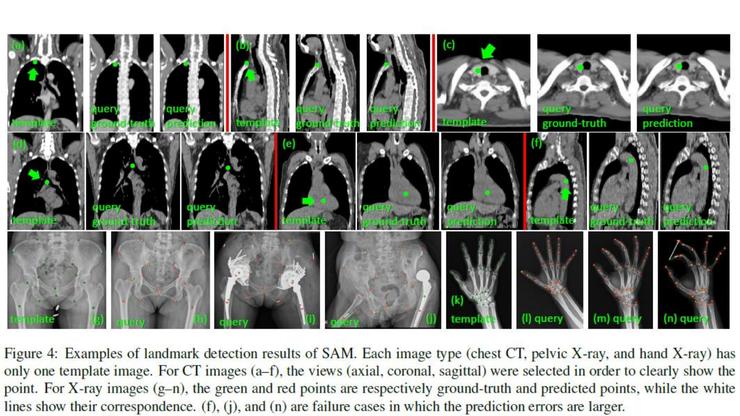 陆菁菁北京协和医院,陆菁菁和睦家