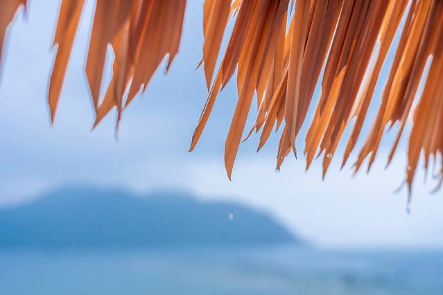 冬天三亚旅游攻略自由行,三亚旅游攻略冬季自由行