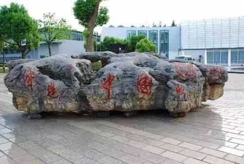 徐根宝的足球生涯,徐根宝职业