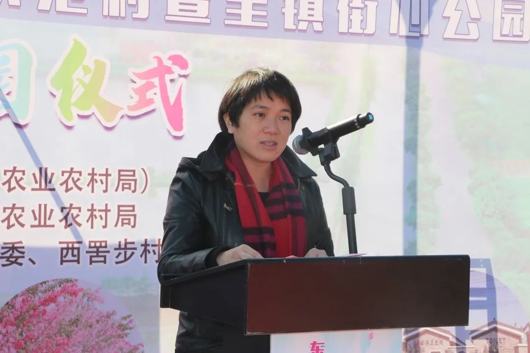 东凤公园最新通知,东凤公园今天最新视频