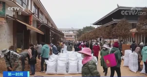 今日文山三七跌了吗,文山三七第一次价格暴涨是哪年