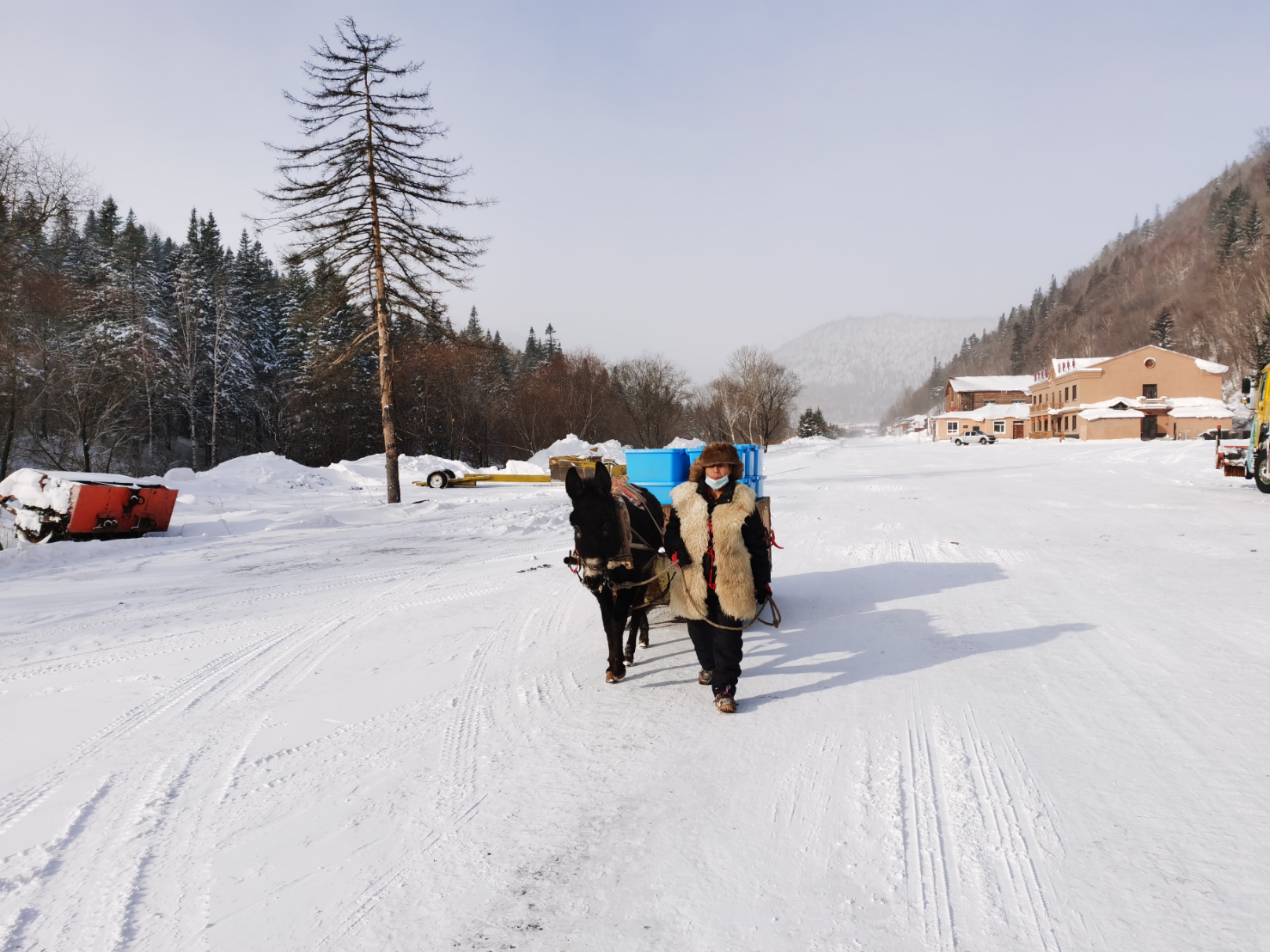 追光｜这里过去“雪就是灾”，现在“就怕不下雪”
