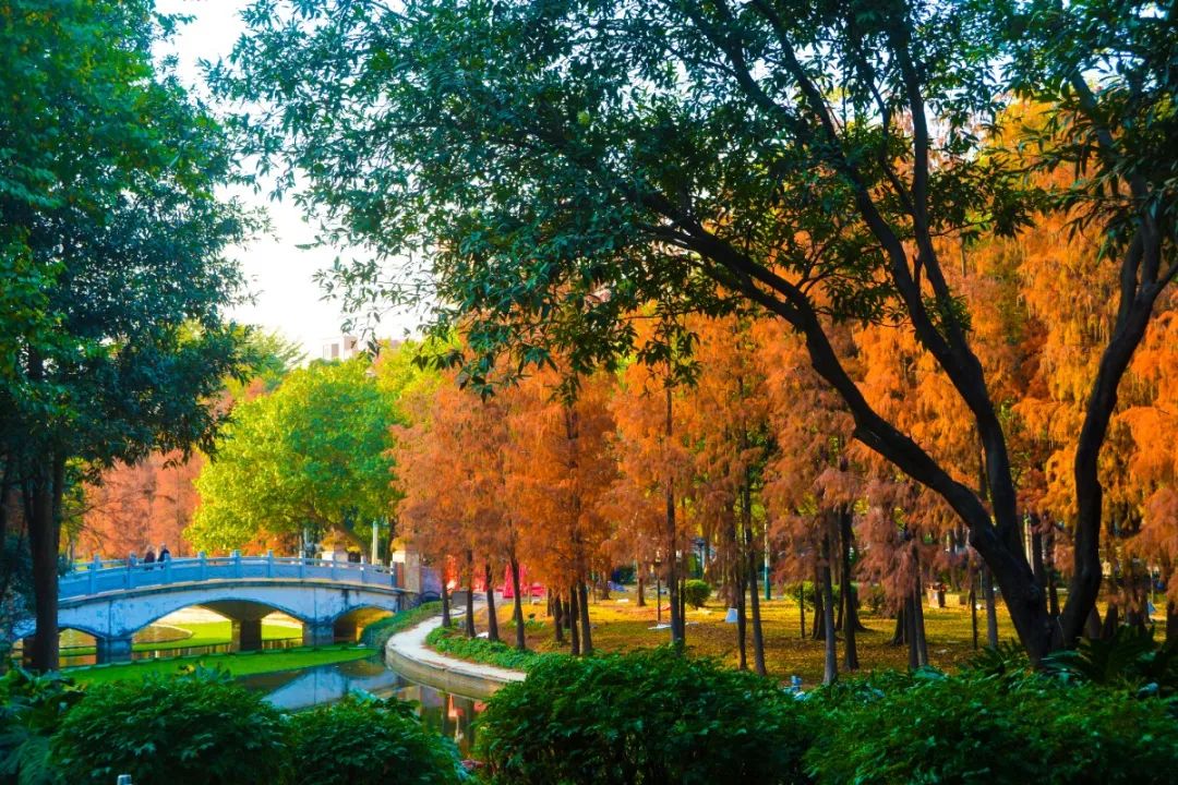 1月最美的佛山藏在这里！全部免费赏！