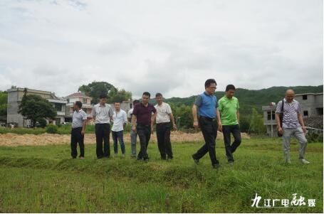 村村寨寨换新颜,山村换新颜照片