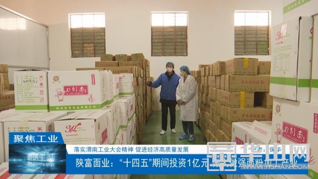 陕富面业发展趋势,陕西陕富面业产量