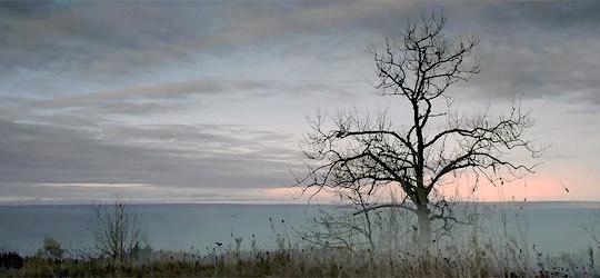 在墓园工作的感悟句子,在陵园干活注意事项