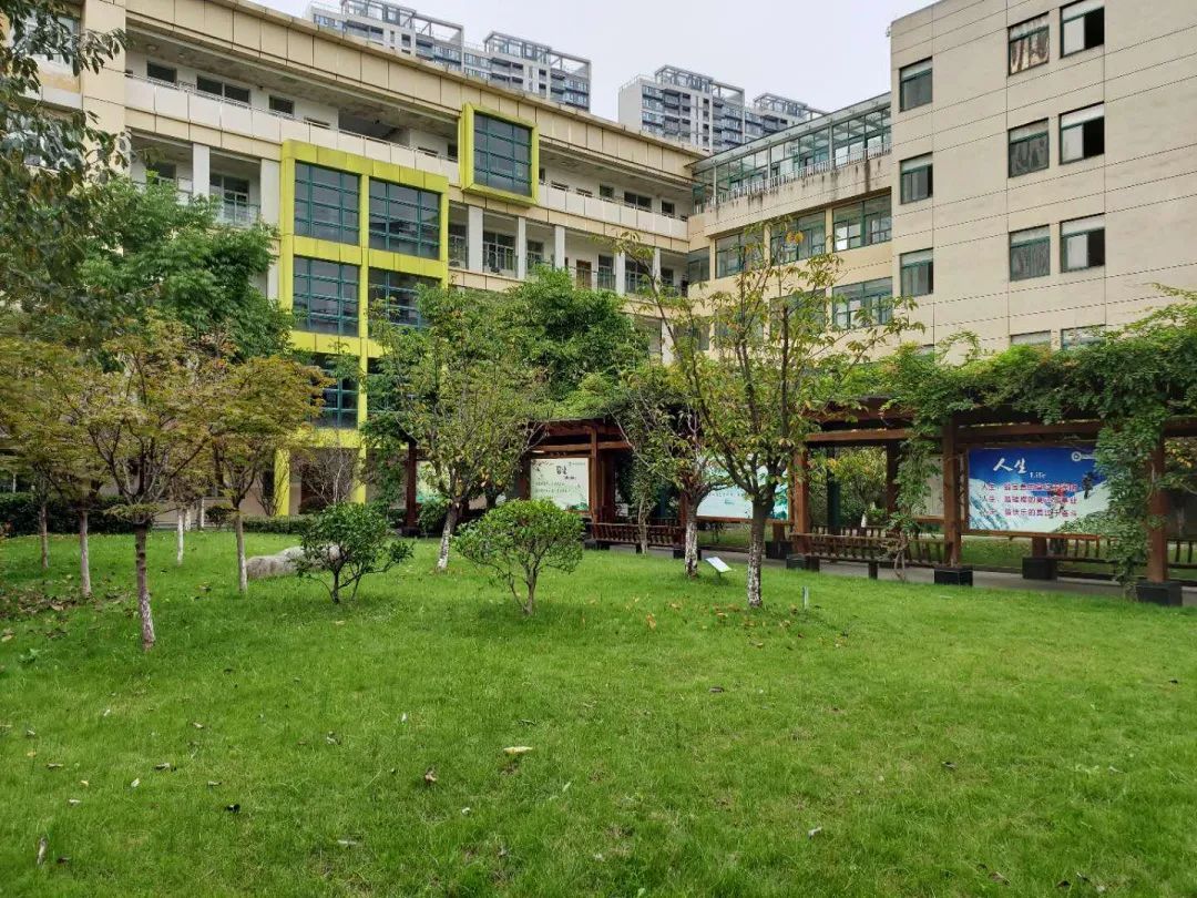 为这所学校点赞,为这样的学校点赞