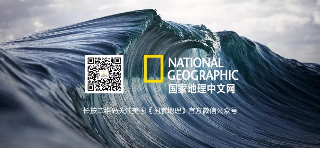 如果你是上帝,现在你是上帝2